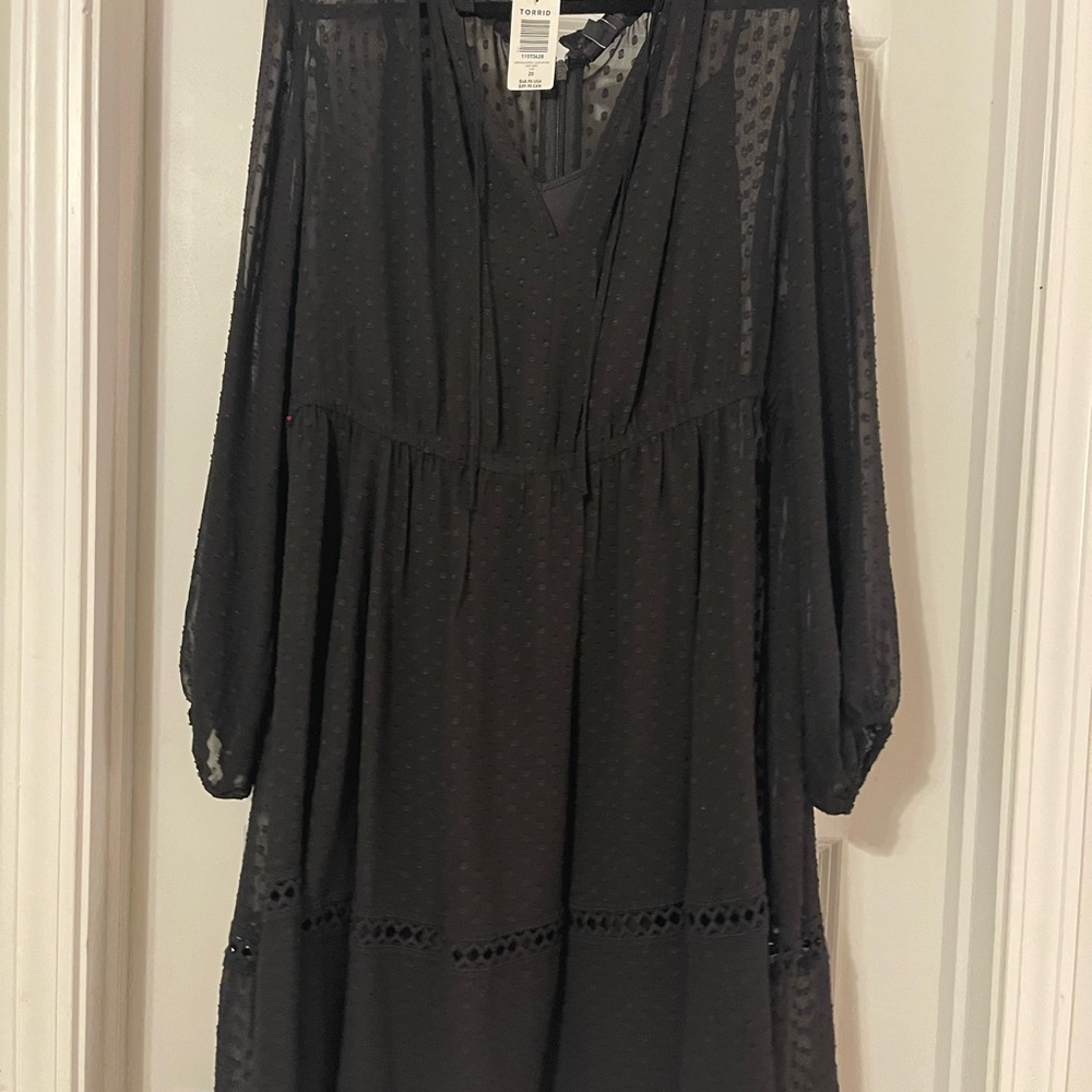 Elegant Black Sheer Dress